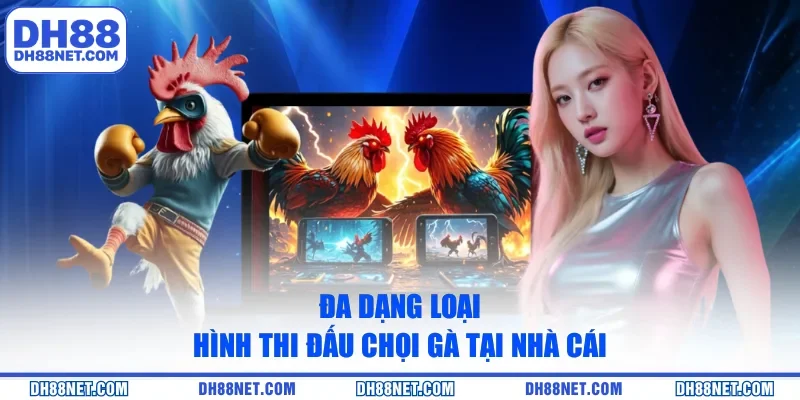 Đa dạng loại hình thi đấu chọi gà tại nhà cái