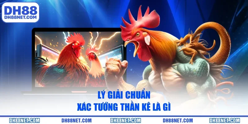 Lý giải chuẩn xác tướng thần kê là gì
