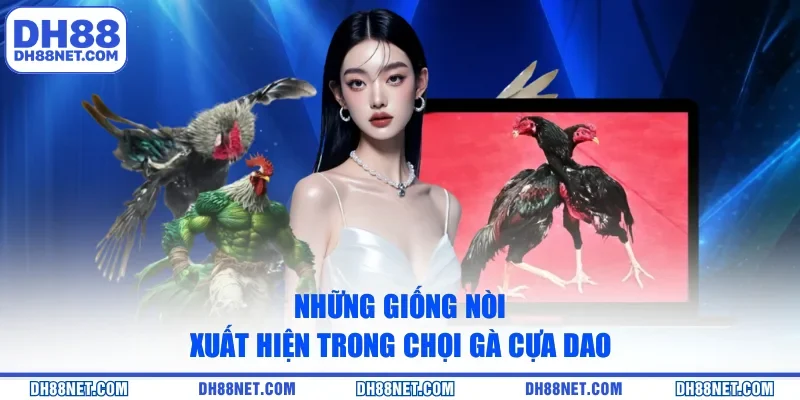 Những giống nòi xuất hiện trong chọi gà cựa dao