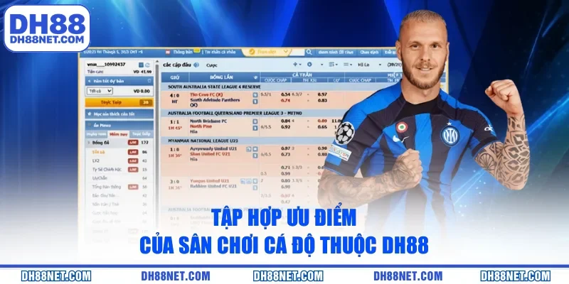 Tập hợp ưu điểm của sân chơi cá độ thuộc DH88